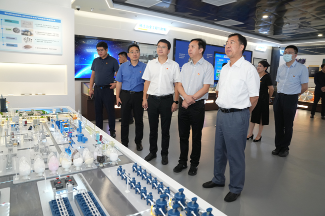 中國有研組織開展“重溫囑托擔(dān)使命 走進有研話振興”主題黨日活動