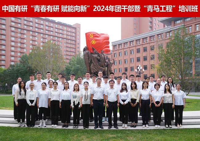 中國有研各級團組織深入開展黨的二十屆三中全會精神“大學(xué)習(xí)”