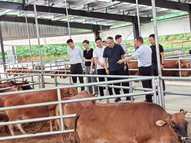 中國有研黨委委員、紀(jì)委書記唐學(xué)智赴思南縣調(diào)研定點幫扶工作并接送掛職干部