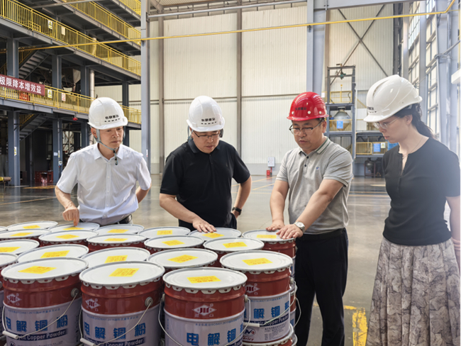 中國有研黨委委員、紀(jì)委書記唐學(xué)智到有研重冶調(diào)研