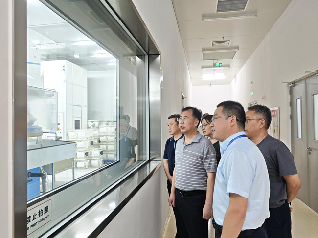 中國有研黨委書記、董事長趙曉晨到山東有研艾斯調(diào)研